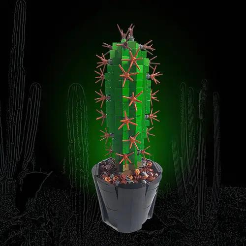 MOC-118883 Mini Saguaro Cactus (carnegiea gigantea)