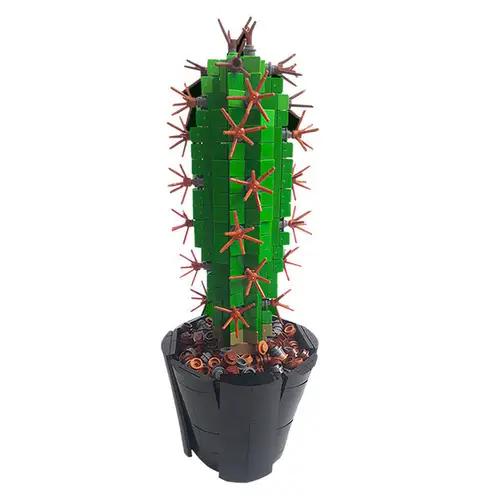 MOC-118883 Mini Saguaro Cactus (carnegiea gigantea)